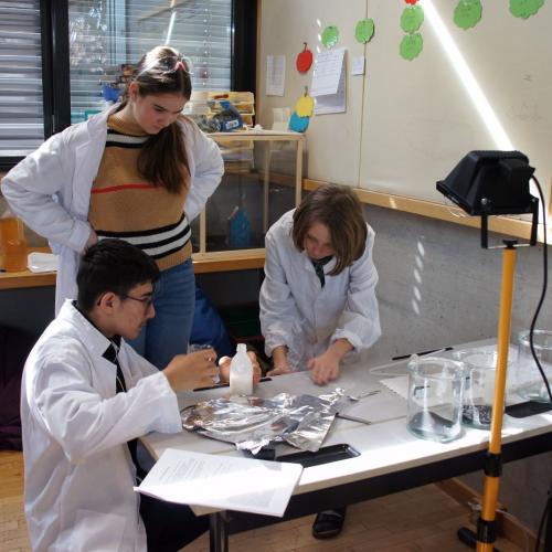 Projekt Wunderwelt Wasser 2