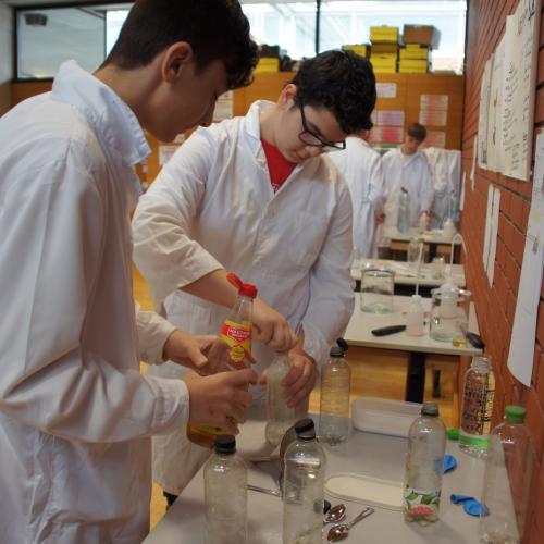 Projekt Wunderwelt Wasser 3