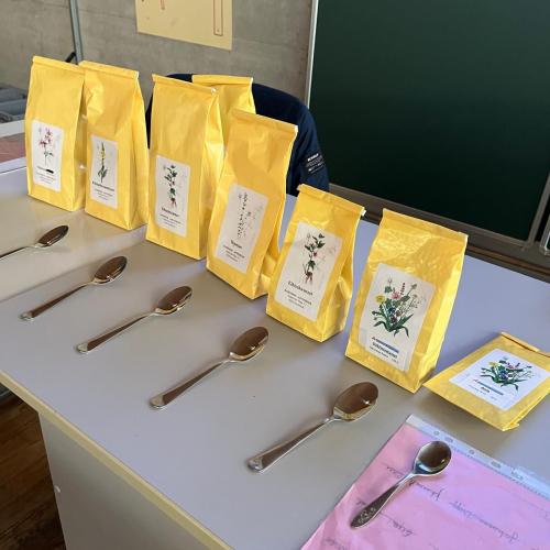 WPF Gesundheit und Soziales - Apotheke 5