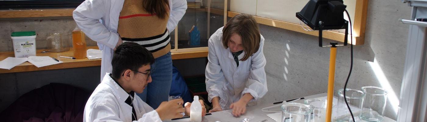 Projekt Wunderwelt Wasser 2