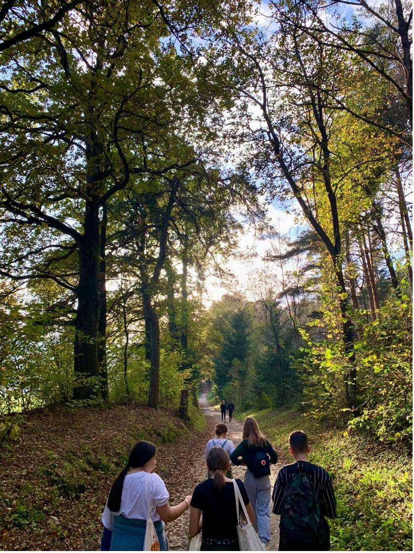 Lernen im Wald